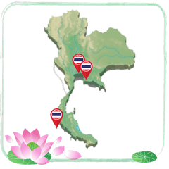https://flowers-thailand.com/wp-admin/post.php?post=126&action=elementor